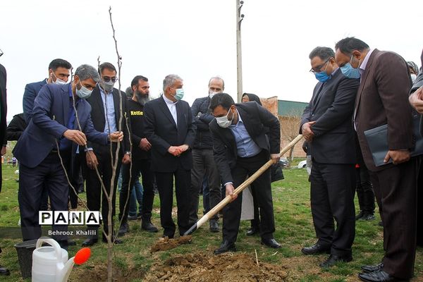 آیین درختکاری هر ورزشکار، یک درخت