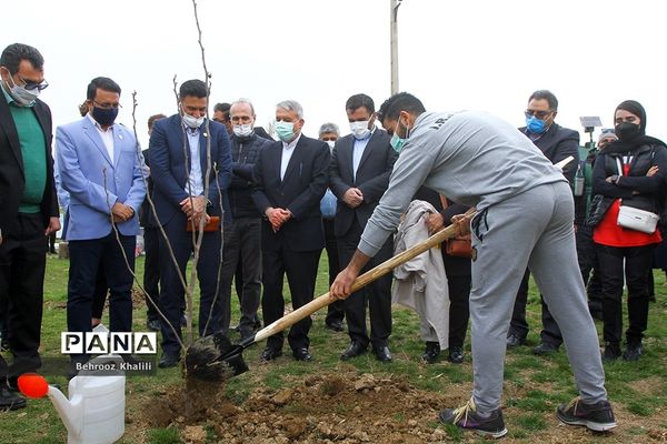 آیین درختکاری هر ورزشکار، یک درخت