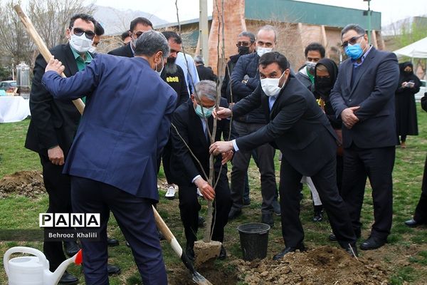 آیین درختکاری هر ورزشکار، یک درخت