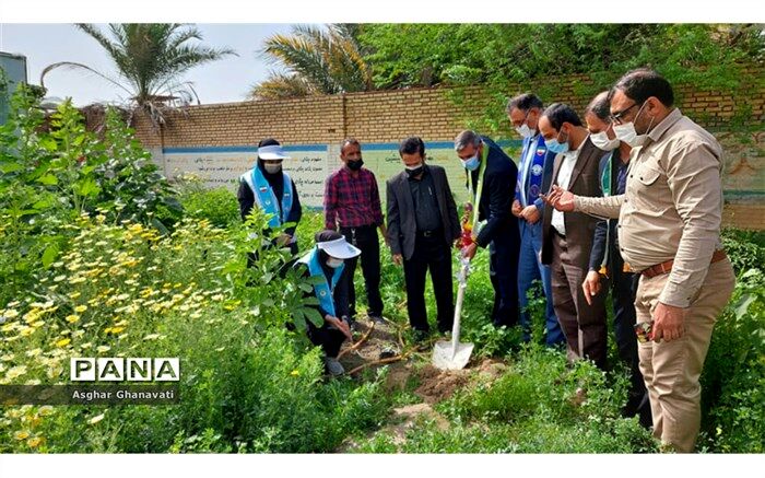 تداوم "طرح توسعه فضای سبز مدارس" با کاشت نهال در دبیرستان رشد