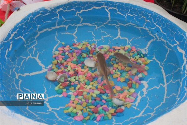 حال و هوای عید نوروز در مدارس گلوگاه