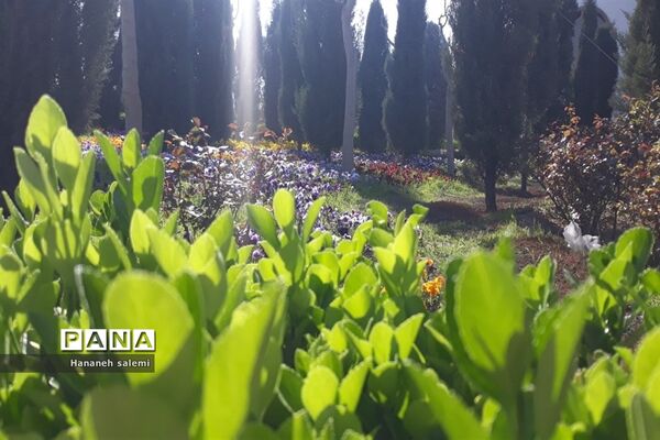 بهار نفسی تازه به طبیعت هدیه کرد