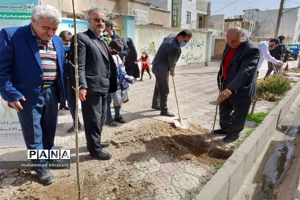 کاشت نهال برای تقدیر از هنرمندان تاکستان