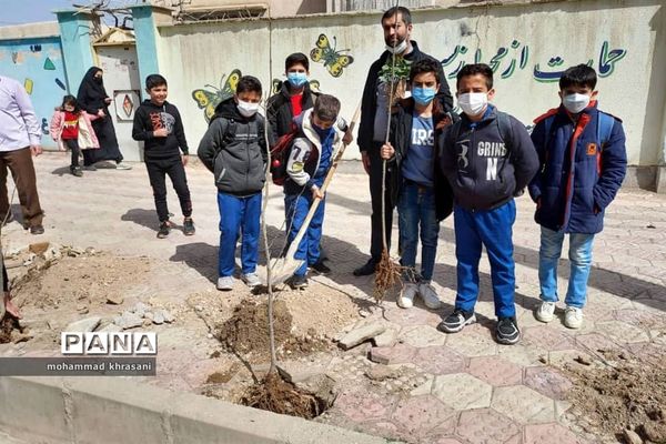 کاشت نهال برای تقدیر از هنرمندان تاکستان