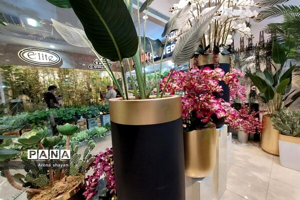 حال و هوای بازار گل و گیاه در بزرگراه بعثت