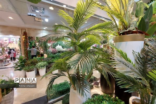 حال و هوای بازار گل و گیاه در بزرگراه بعثت