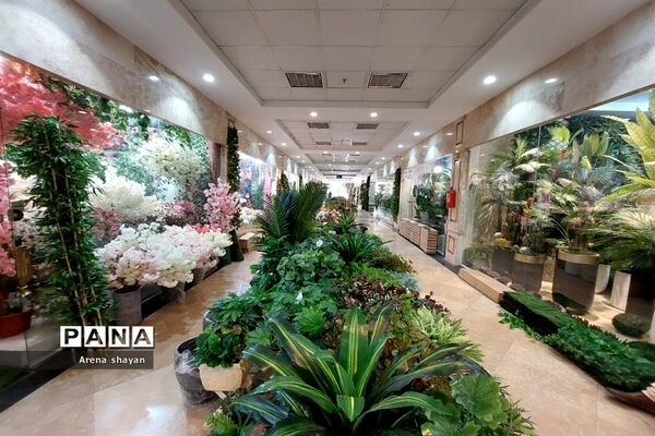 حال و هوای بازار گل و گیاه در بزرگراه بعثت
