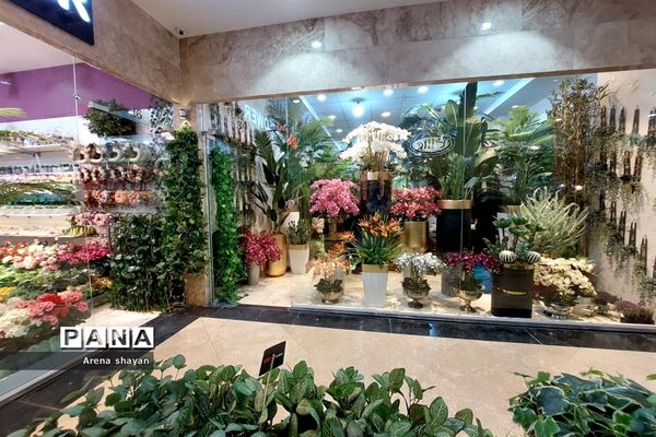 حال و هوای بازار گل و گیاه در بزرگراه بعثت