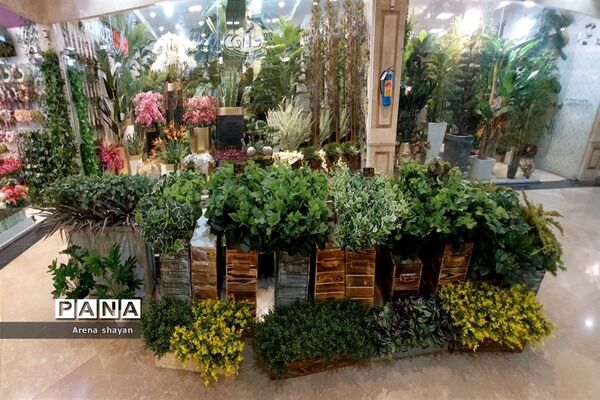 حال و هوای بازار گل و گیاه در بزرگراه بعثت