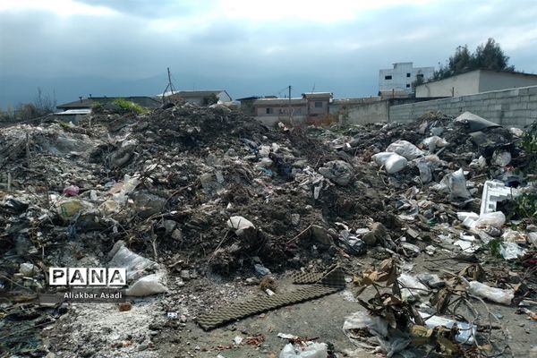 روئیدن زباله در کنار سبزه‌زار بهار