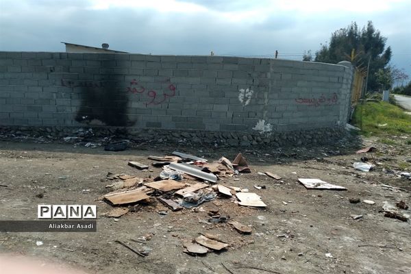 روئیدن زباله در کنار سبزه‌زار بهار