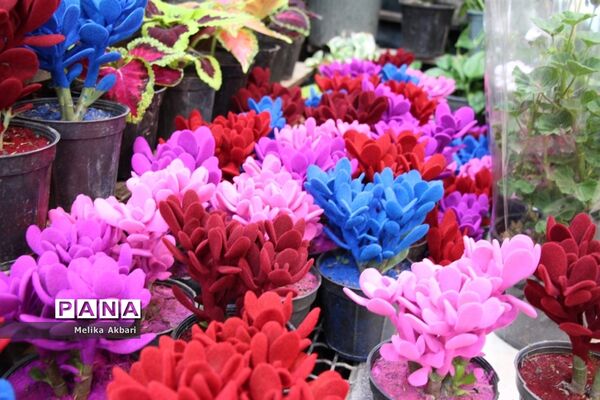 مشهد در آستانه نوروز