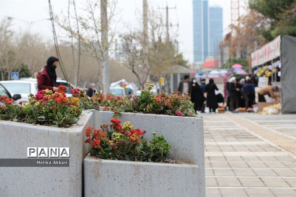 مشهد در آستانه نوروز