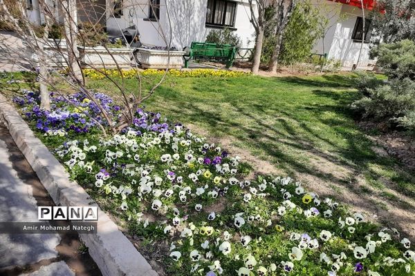 برپایی ایستگاه استقبال از مسافران نوروزی در منطقه ۱۵