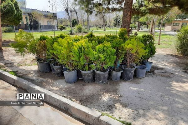 برپایی ایستگاه استقبال از مسافران نوروزی در منطقه ۱۵