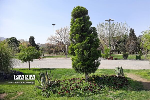 برپایی ایستگاه استقبال از مسافران نوروزی در منطقه ۱۵