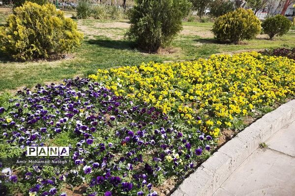 برپایی ایستگاه استقبال از مسافران نوروزی در منطقه ۱۵