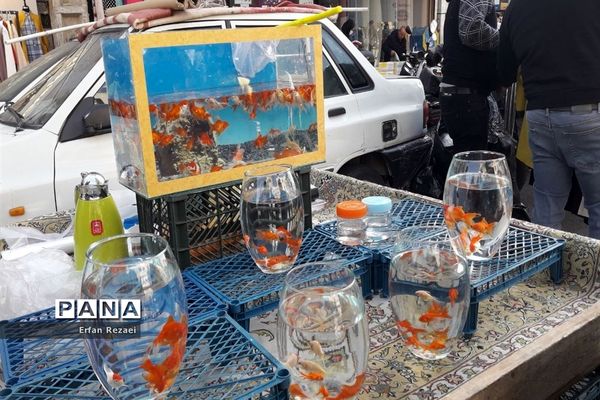 کرونا در سبد خرید نوروزی