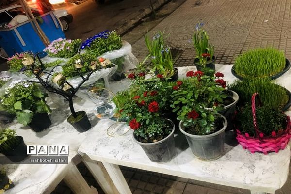 ساری به پیشواز نوروز می‌رود