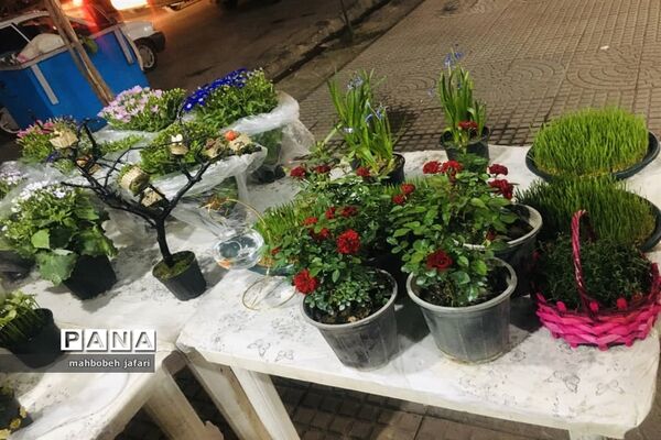 ساری به پیشواز نوروز می‌رود