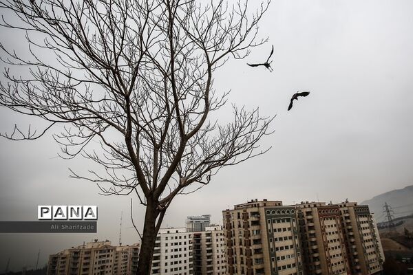 عکس‌های منتخب سال 1400 خبرگزاری پانا