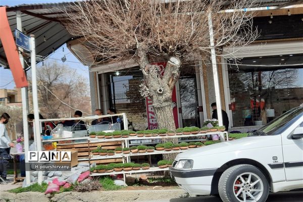 تکاپوی مردم شهرکرد در آغاز نوروز