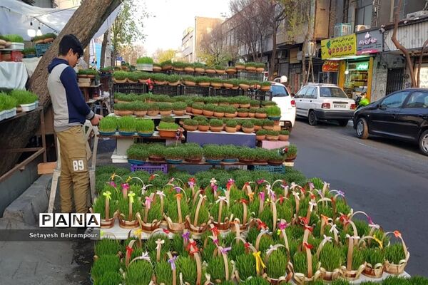 تکاپوی خرید شب عید در شهر تهران