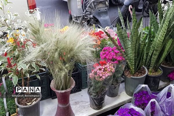 تکاپوی خرید شب عید در شهر تهران