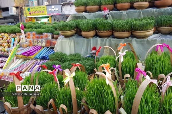 تکاپوی خرید شب عید در شهر تهران