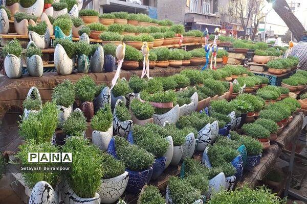 تکاپوی خرید شب عید در شهر تهران