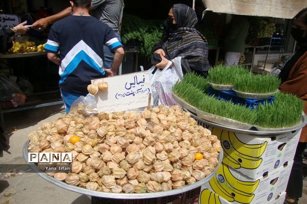 استقبال مردم بوشهر از عید نوروز