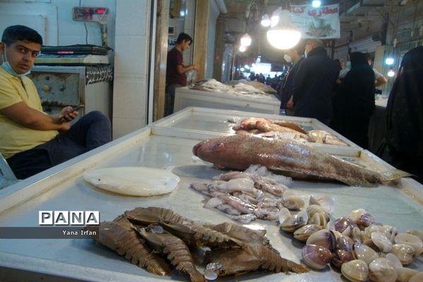 استقبال مردم بوشهر از عید نوروز