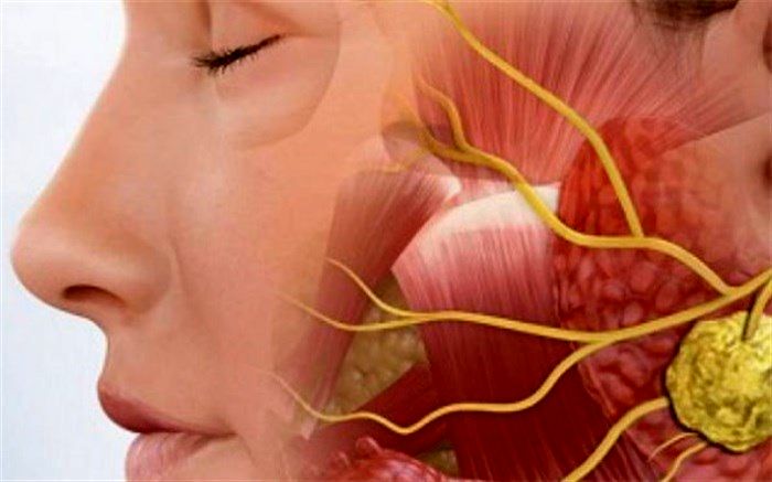 با این روش‌ها سیستم لنفاوی بدن تقویت کنیم