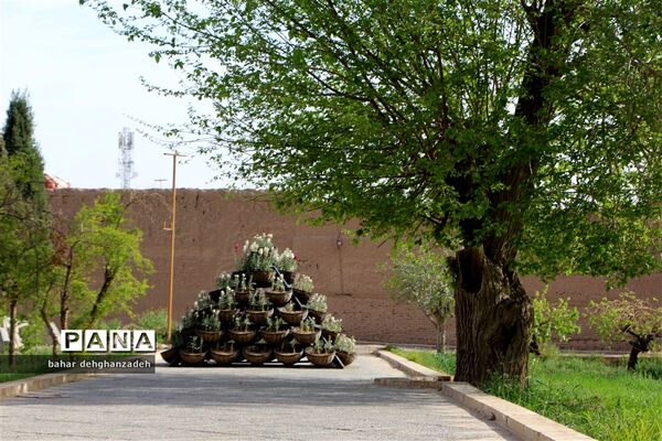 فضای زیبای باغ دولت‌آباد یزد در ایام نوروز