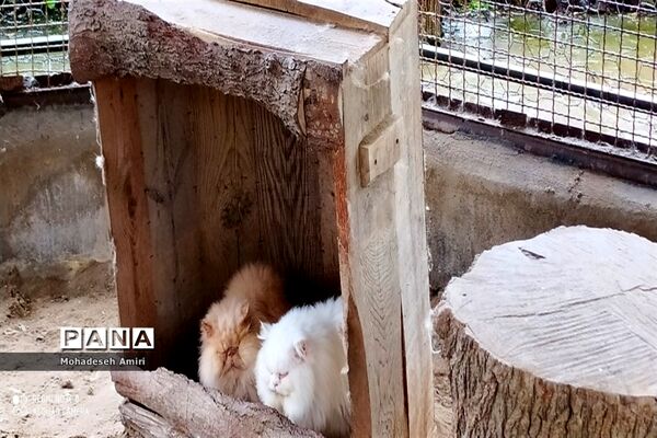 ساخت شهرک گردشگری توسط شهردار بابلسر برای مسافران نوروزی