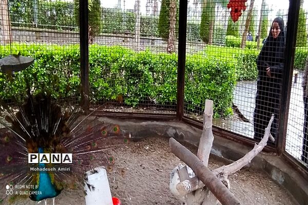 ساخت شهرک گردشگری توسط شهردار بابلسر برای مسافران نوروزی