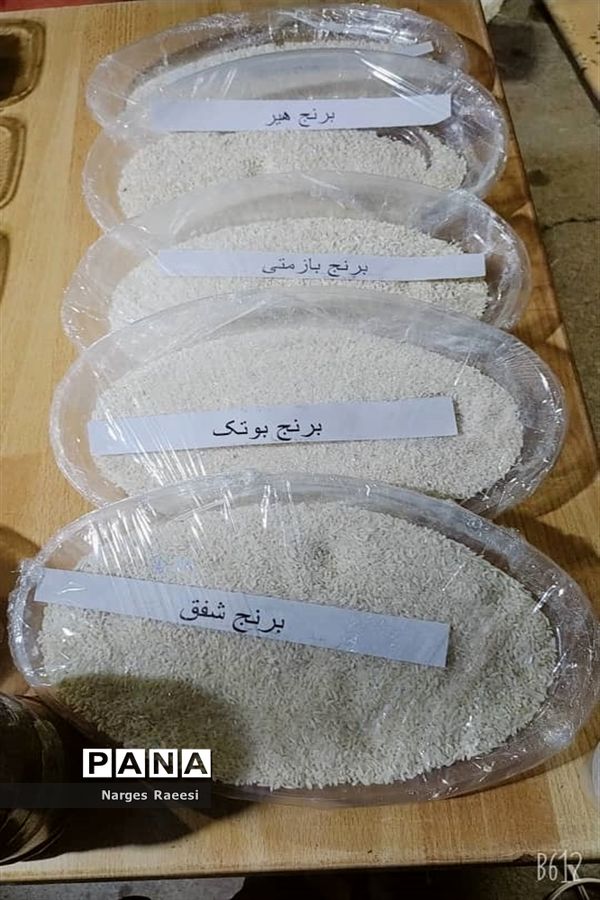 استقبال از مسافران نوروزی در قصرقند