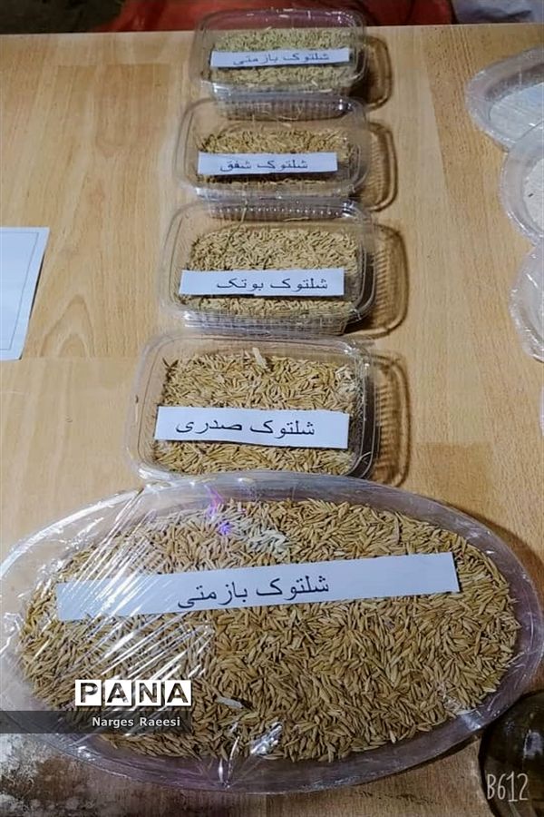 استقبال از مسافران نوروزی در قصرقند