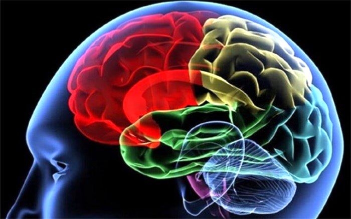 سلامت مغزتان را با ترک ۶ عادت غلط تضمین کنید