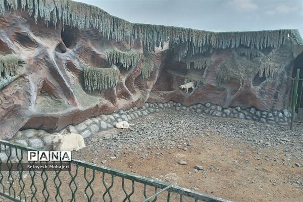 استقبال مسافران نوروزی از باغ وحش وکیل آباد مشهد