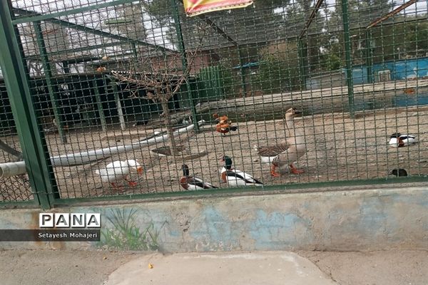 استقبال مسافران نوروزی از باغ وحش وکیل آباد مشهد