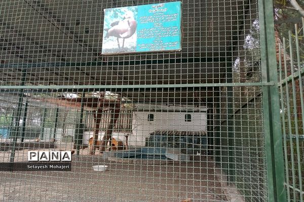 استقبال مسافران نوروزی از باغ وحش وکیل آباد مشهد