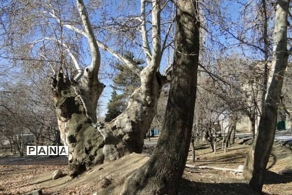 جاذبه‌های گردشگری رودهن