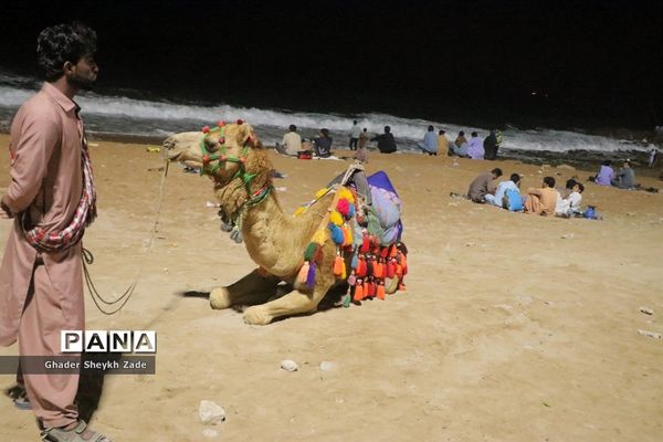 حضور کم سابقه مسافران در سواحل چابهار