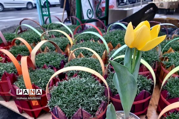 سال نو در کنار مقبره شهدای گمنام اتوبان شهید دوران تهران