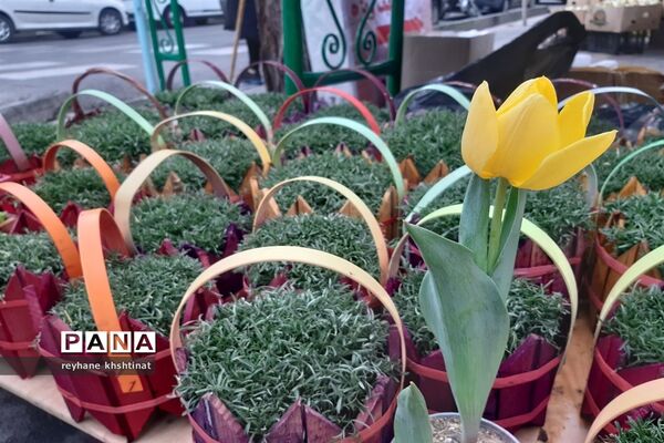 سال نو در کنار مقبره شهدای گمنام اتوبان شهید دوران تهران