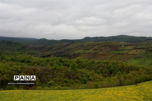 بهار طبیعت در گلوگاه