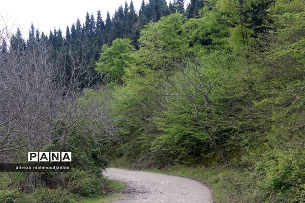 بهار طبیعت در گلوگاه