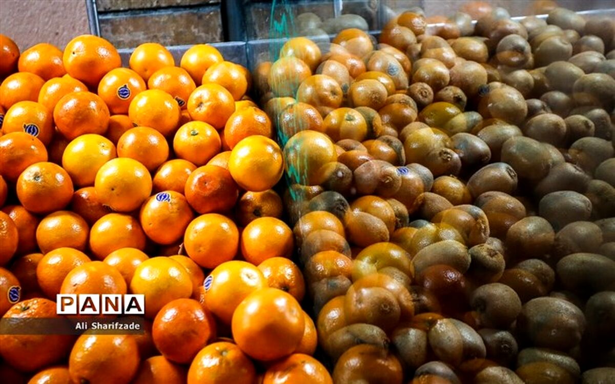 بازگشایی ۲۶۲ میدان میوه‌و‌تره‌بار شهر تهران از فردا