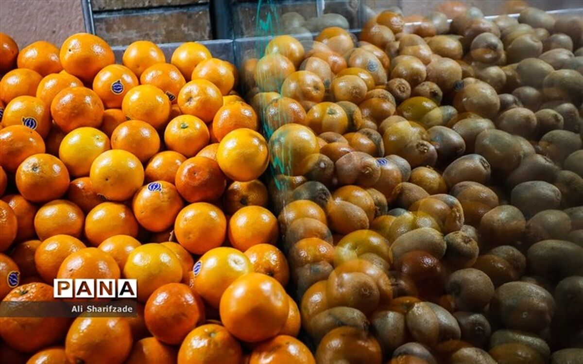 بازگشایی ۲۶۲ میدان میوه‌و‌تره‌بار شهر تهران از فردا